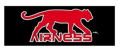 AIRNESS